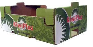 Kiwi Plus Caja de 6 Kg