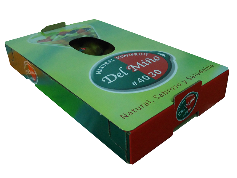 Kiwi Del Miño - Natural kiwifruit 3 kg